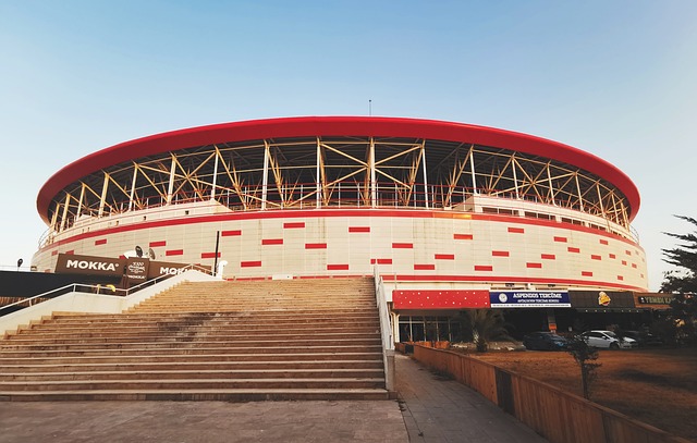 尤其是他们 尤其是他们