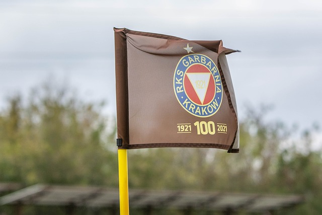 了比赛的一 了比赛的一