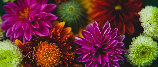 欧洲八大联赛领头羊积分优势：利物浦&巴黎均为13分的大幅领先.